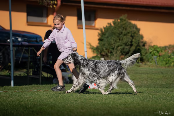 Krajská výstava všech plemen Němčice u Kolína – 7 FCI