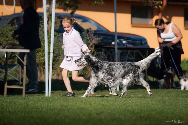Krajská výstava všech plemen Němčice u Kolína – 7 FCI