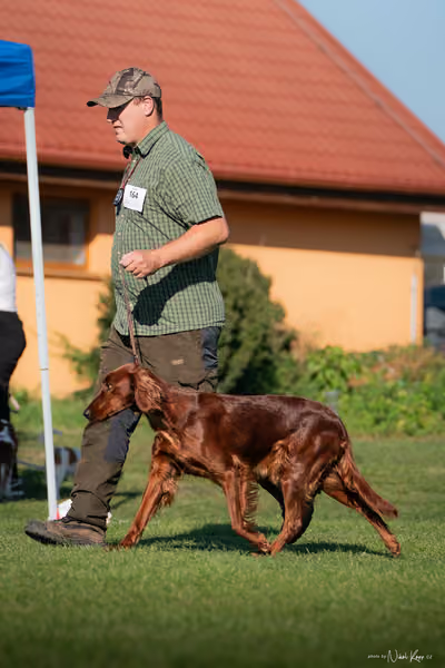 Krajská výstava všech plemen Němčice u Kolína – 7 FCI