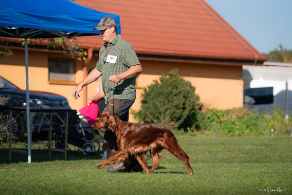 Krajská výstava všech plemen Němčice u Kolína – 7 FCI