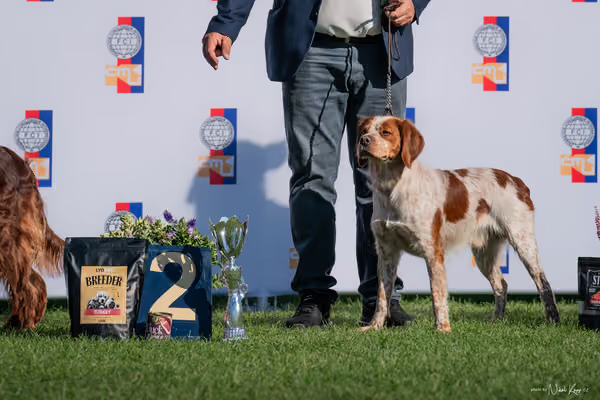 Krajská výstava všech plemen Němčice u Kolína – 7 FCI