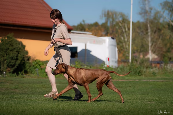 Krajská výstava všech plemen Němčice u Kolína – 6 FCI