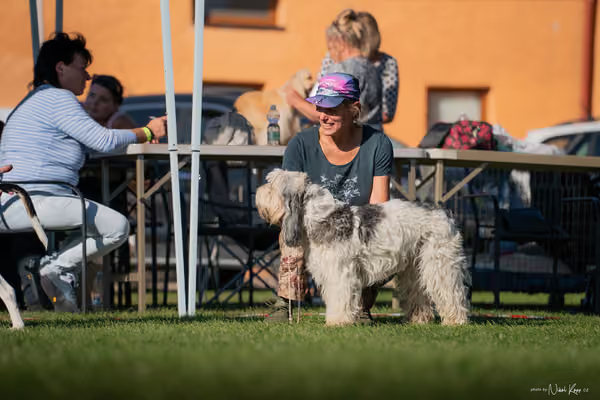 Krajská výstava všech plemen Němčice u Kolína – 6 FCI