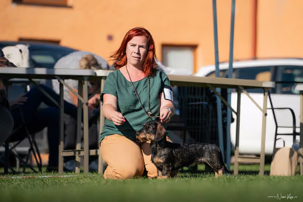 Krajská výstava všech plemen Němčice u Kolína – 4 FCI