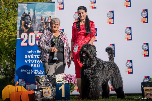 Krajská výstava všech plemen Němčice u Kolína – 2 FCI