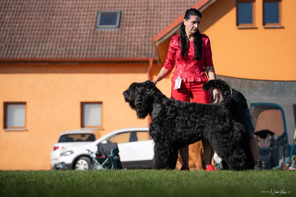 Krajská výstava všech plemen Němčice u Kolína – 2 FCI