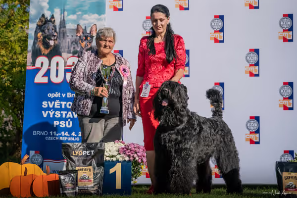 Krajská výstava všech plemen Němčice u Kolína – 2 FCI