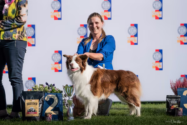 Krajská výstava všech plemen Němčice u Kolína – 1 FCI