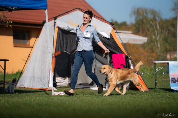 Krajská výstava všech plemen Němčice u Kolína – Mladý