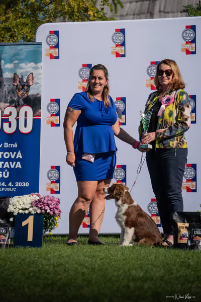 Krajská výstava všech plemen Němčice u Kolína – ŠTĚNĚ