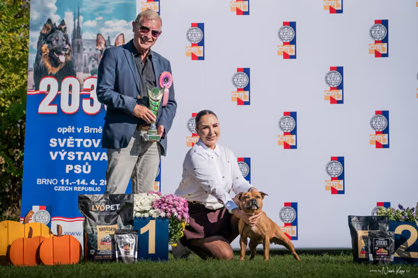 Krajská výstava všech plemen Němčice u Kolína – Čestná