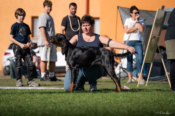Krajská výstava všech plemen Němčice u Kolína – DOROST