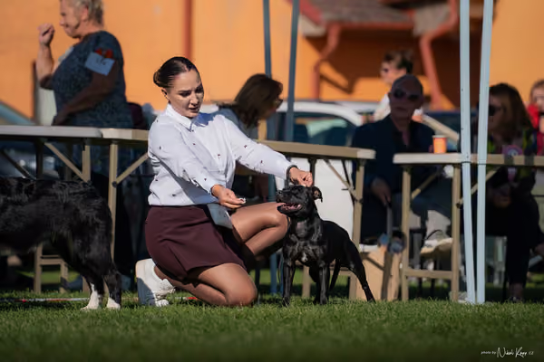 Krajská výstava všech plemen Němčice u Kolína – DOROST