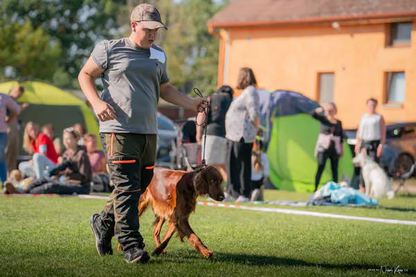 Krajská výstava všech plemen Němčice u Kolína – JH 2