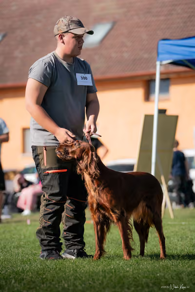 Krajská výstava všech plemen Němčice u Kolína – JH 2