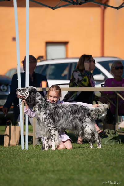 Krajská výstava všech plemen Němčice u Kolína – JH 1