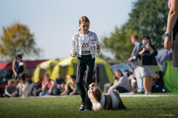 Krajská výstava všech plemen Němčice u Kolína – JH 1