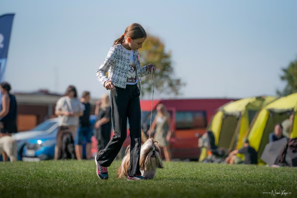 Krajská výstava všech plemen Němčice u Kolína – JH 1