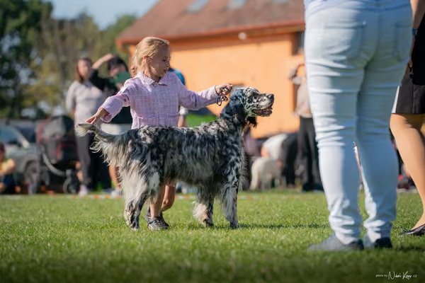 Krajská výstava všech plemen Němčice u Kolína – JH 1