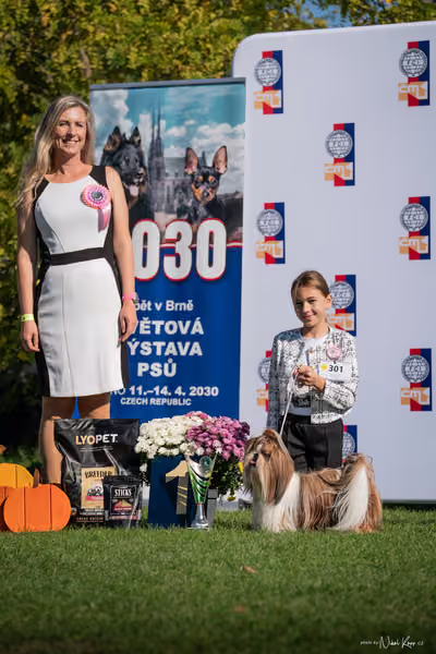 Krajská výstava všech plemen Němčice u Kolína – JH 1