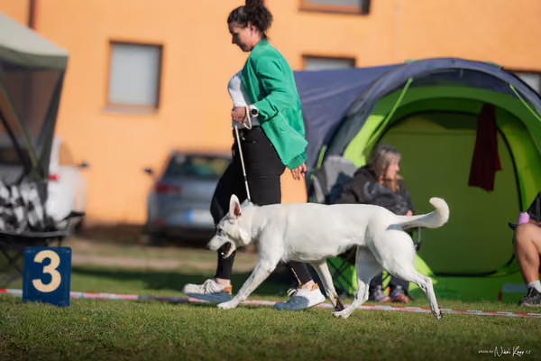 Krajská výstava všech plemen Němčice u Kolína – Ostatní