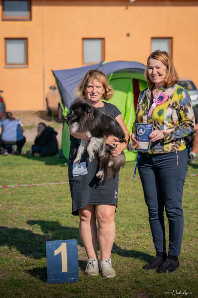 Krajská výstava všech plemen Němčice u Kolína – Ostatní