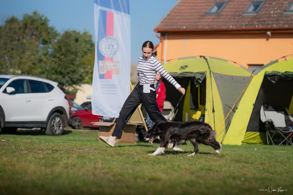 Krajská výstava všech plemen Němčice u Kolína – Ostatní