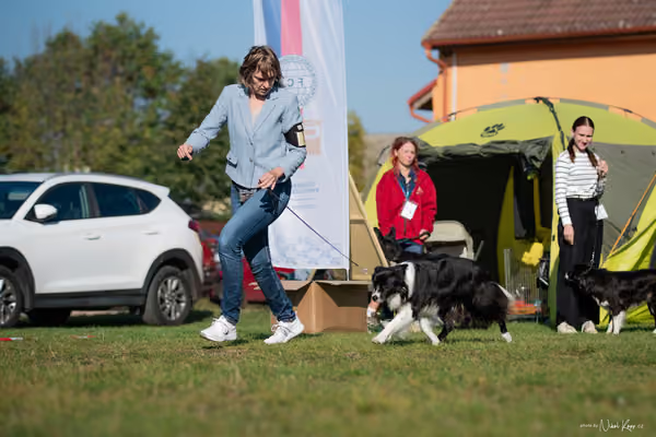 Krajská výstava všech plemen Němčice u Kolína – Ostatní