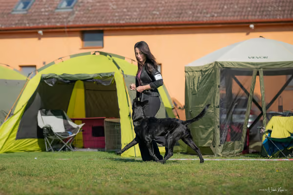 Krajská výstava všech plemen Němčice u Kolína – Ostatní