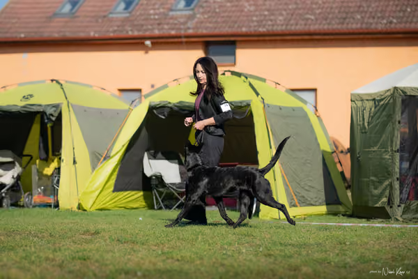 Krajská výstava všech plemen Němčice u Kolína – Ostatní
