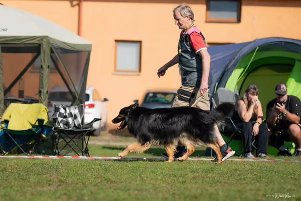 Krajská výstava všech plemen Němčice u Kolína – Ostatní