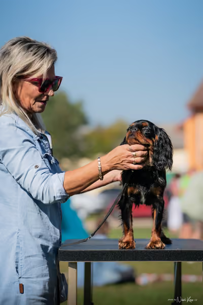 Krajská výstava všech plemen Němčice u Kolína – Ostatní