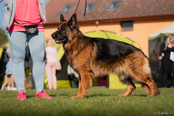 Krajská výstava všech plemen Němčice u Kolína – Ostatní