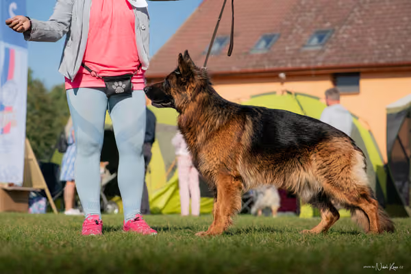 Krajská výstava všech plemen Němčice u Kolína – Ostatní