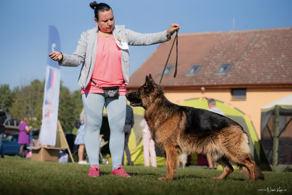 Krajská výstava všech plemen Němčice u Kolína – Ostatní