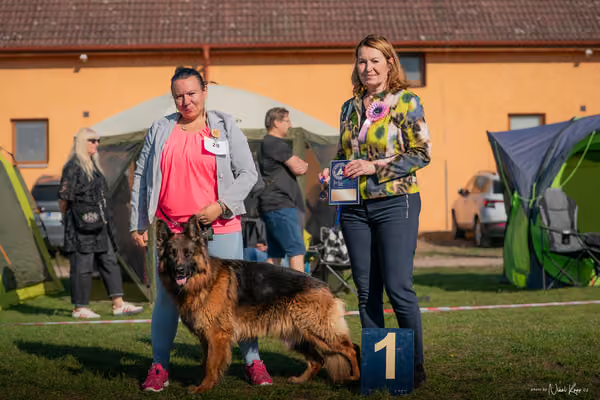 Krajská výstava všech plemen Němčice u Kolína – Ostatní