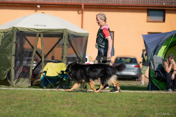 Krajská výstava všech plemen Němčice u Kolína – Ostatní