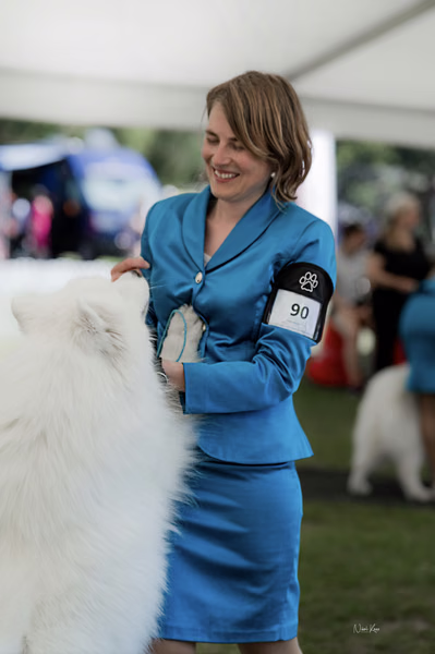 Klubová výstava KSP – Samojed
