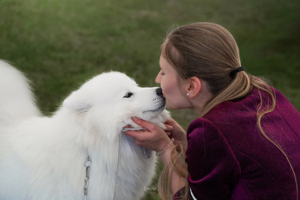Klubová výstava KSP – Samojed