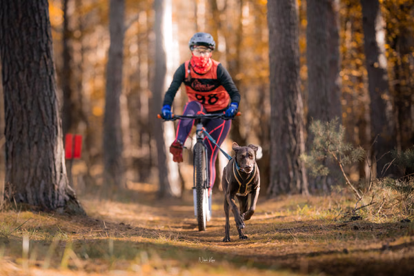 Tlapkros – 19. října 2025