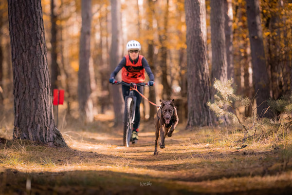 Tlapkros – 19. října 2025