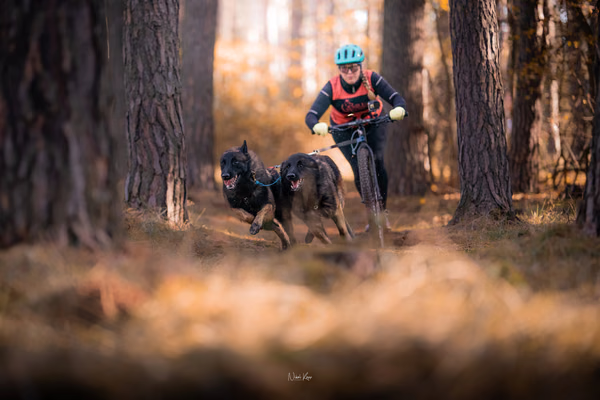 Tlapkros – 19. října 2025