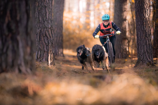 Tlapkros – 19. října 2025