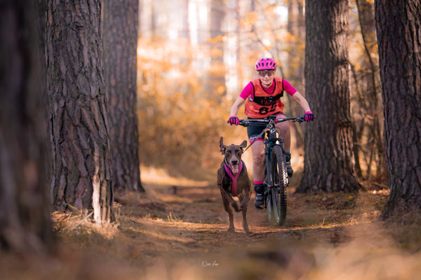 Tlapkros – 19. října 2025