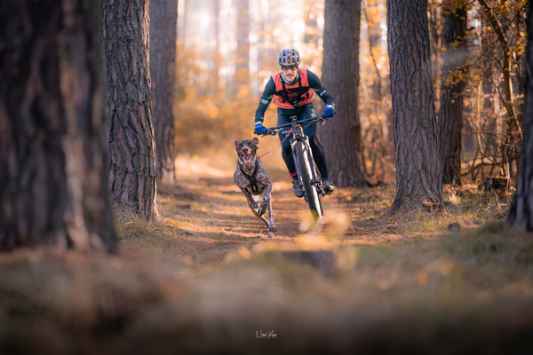 Tlapkros – 19. října 2025