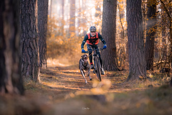 Tlapkros – 19. října 2025