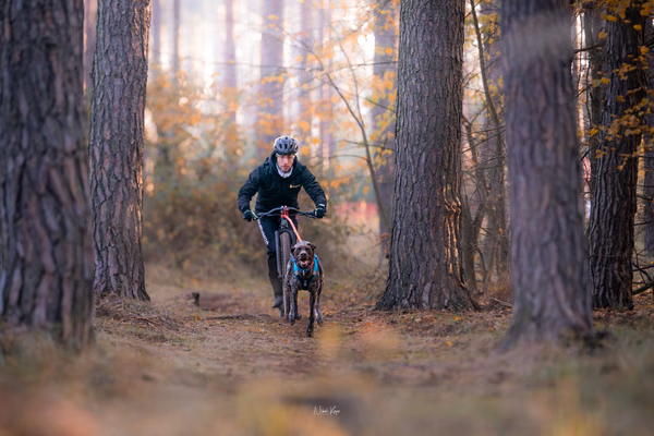 Tlapkros – 19. října 2025