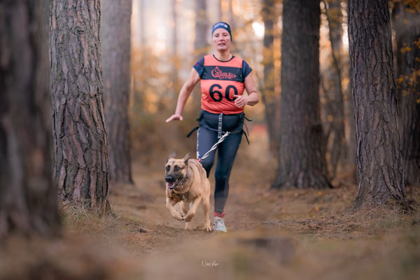 Tlapkros – 19. října 2025