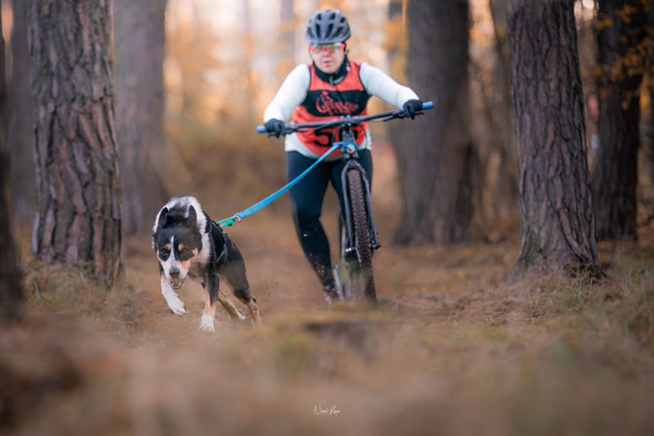Tlapkros – 19. října 2025