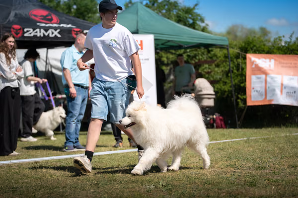 Samojed klub SK – 8. května 2026